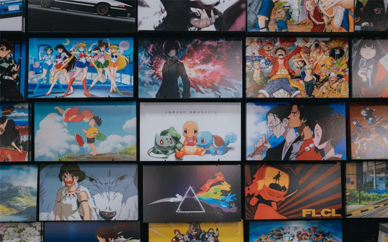 What Do Anime Fans Collect?