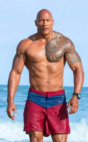 the rock